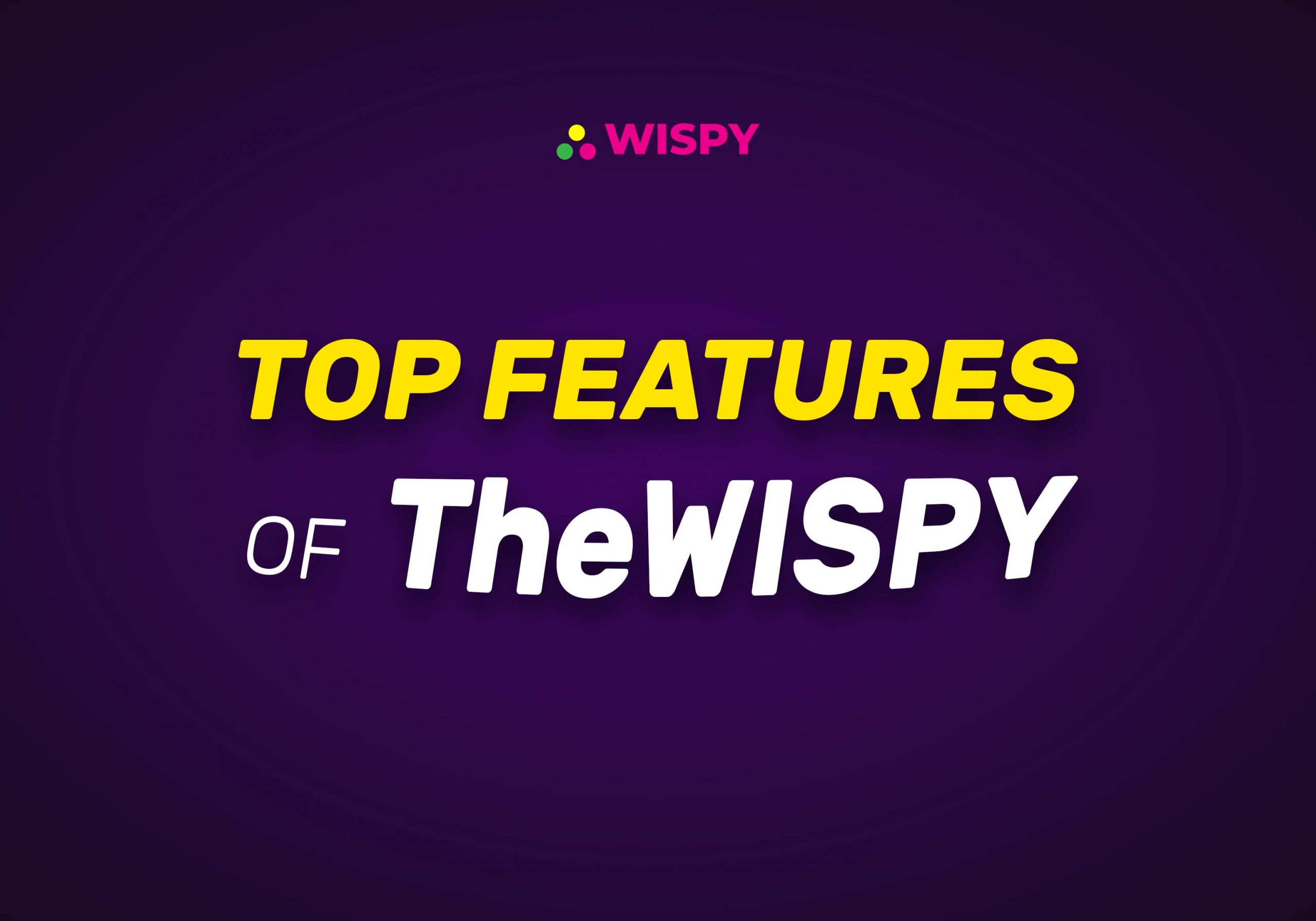 Top Features of TheWiSpy